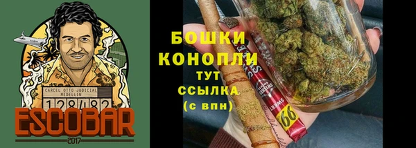 ешки Иннополис