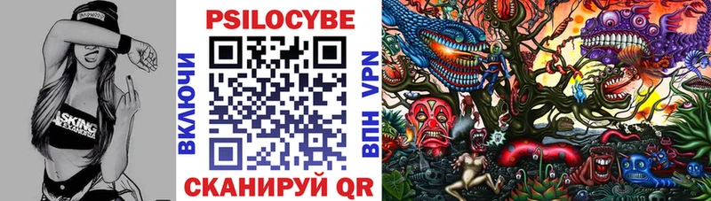 Купить закладки  Янаул  Псилоцибиновые грибы Cubensis 